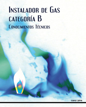 Instalador de gas: categoría B: conocimientos técnicos