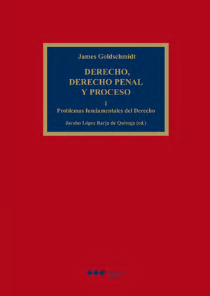 Derecho, derecho penal y proceso. Tomo I: problemas fundamentales del derecho