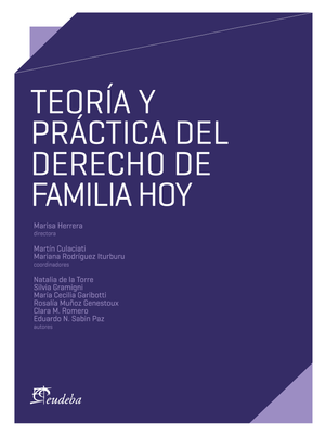 Teoría y práctica del derecho de familia hoy