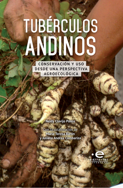 Tubérculos andinos: conservación y uso desde una perspectiva agroecológica