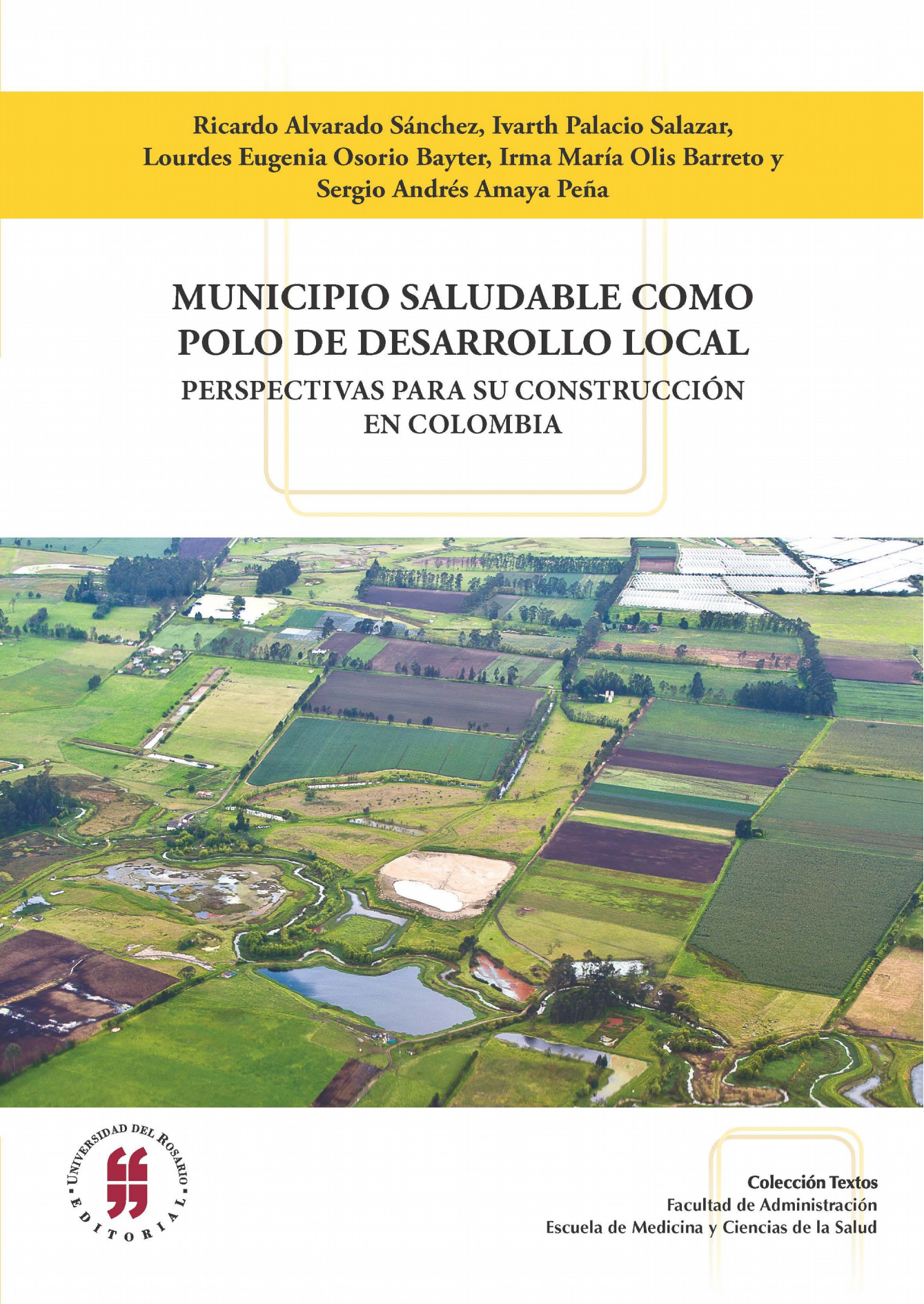 Municipio saludable como polo de desarrollo local: perspectivas para su construcción en Colombia
