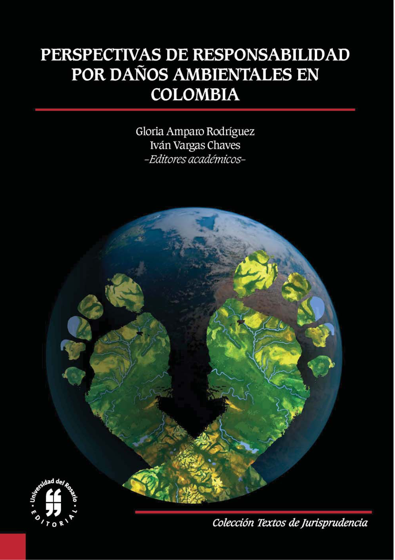 Perspectiva de responsabilidad por daños ambientales en Colombia
