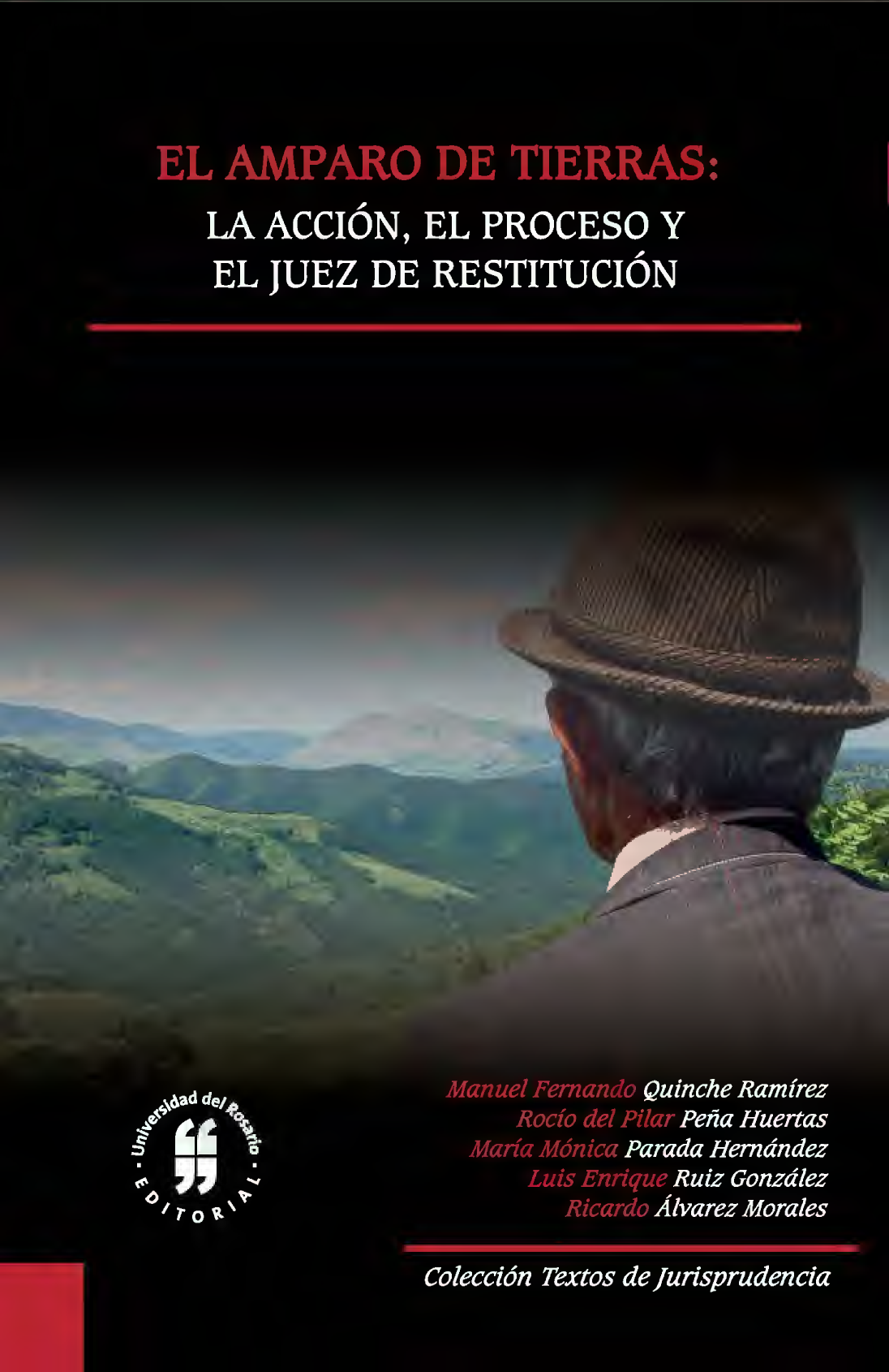El amparo de tierras: la acción, el proceso y el juez de restitución
