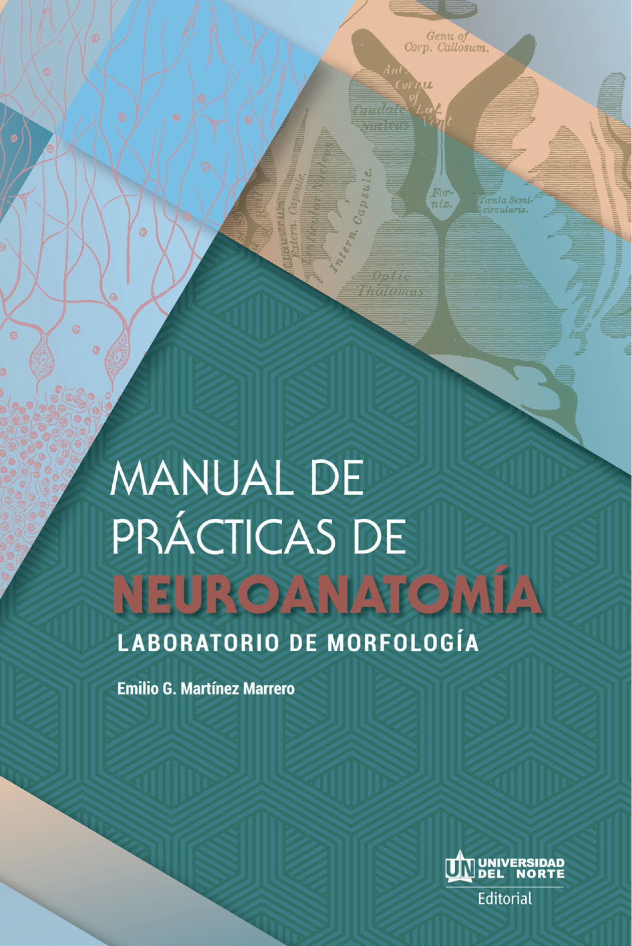 Manual de prácticas de neuroanatomía: laboratorio de morfología