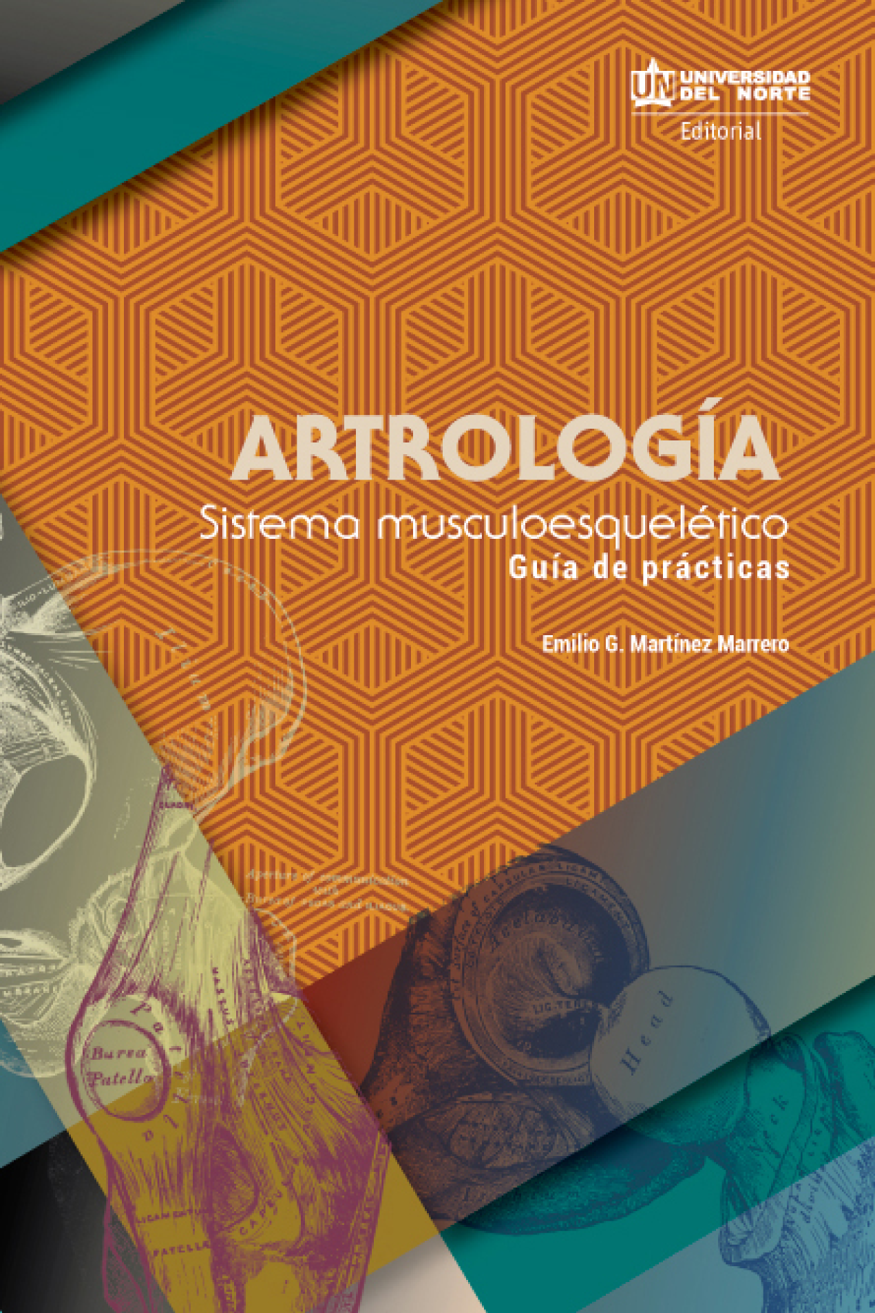 Artrología: sistema musculoesquelético, guía de prácticas