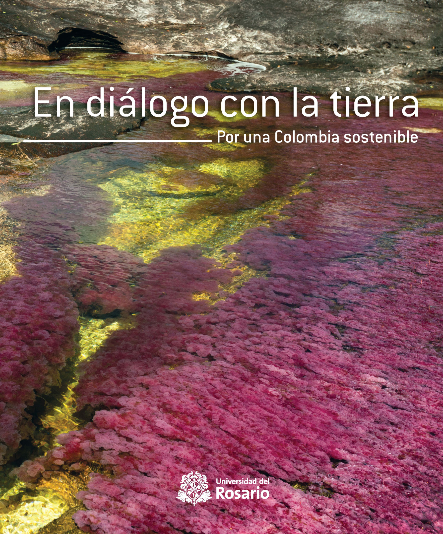 En diálogo con la tierra: por una Colombia sostenible