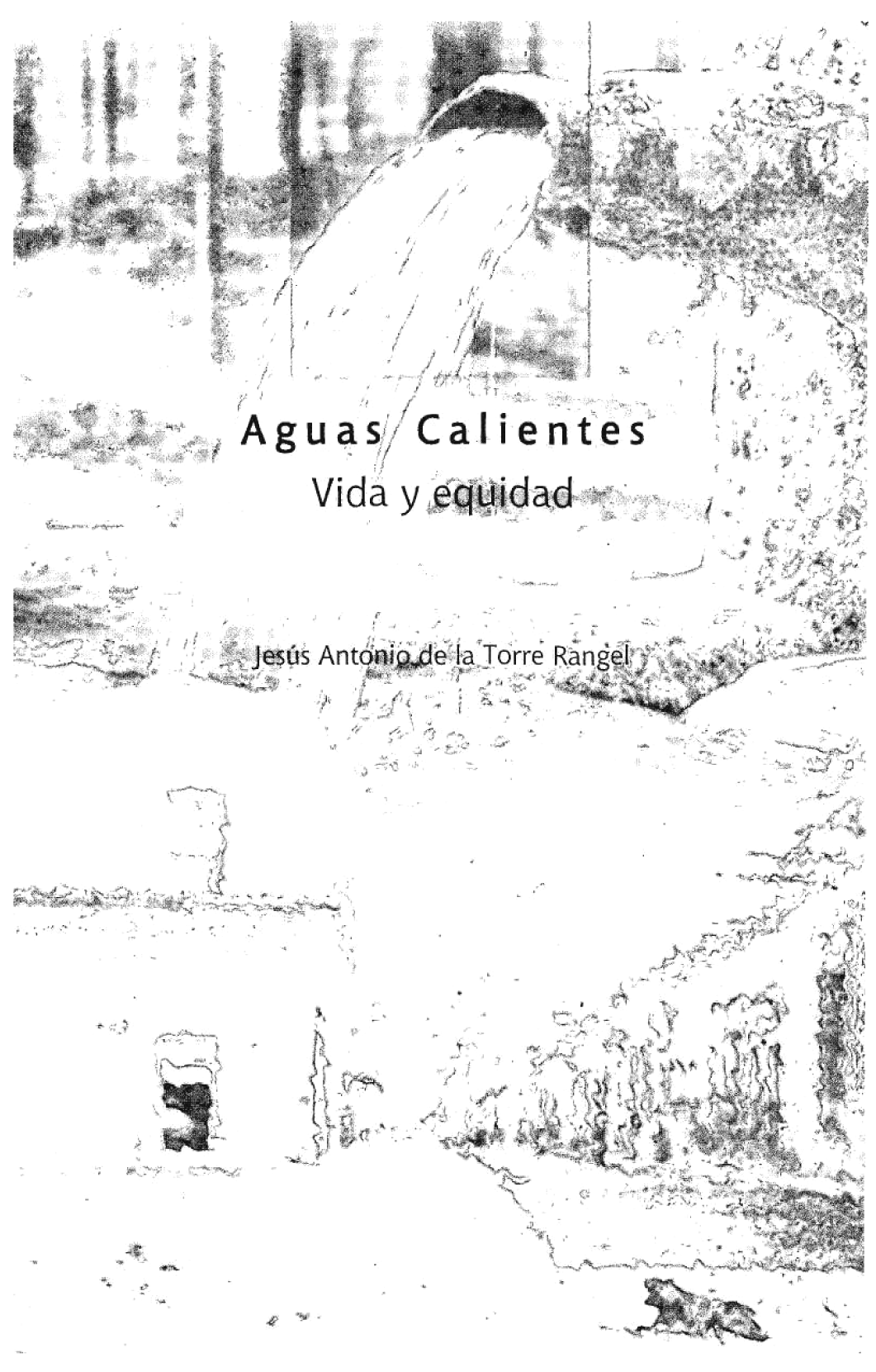 Aguas Calientes: vida y equidad