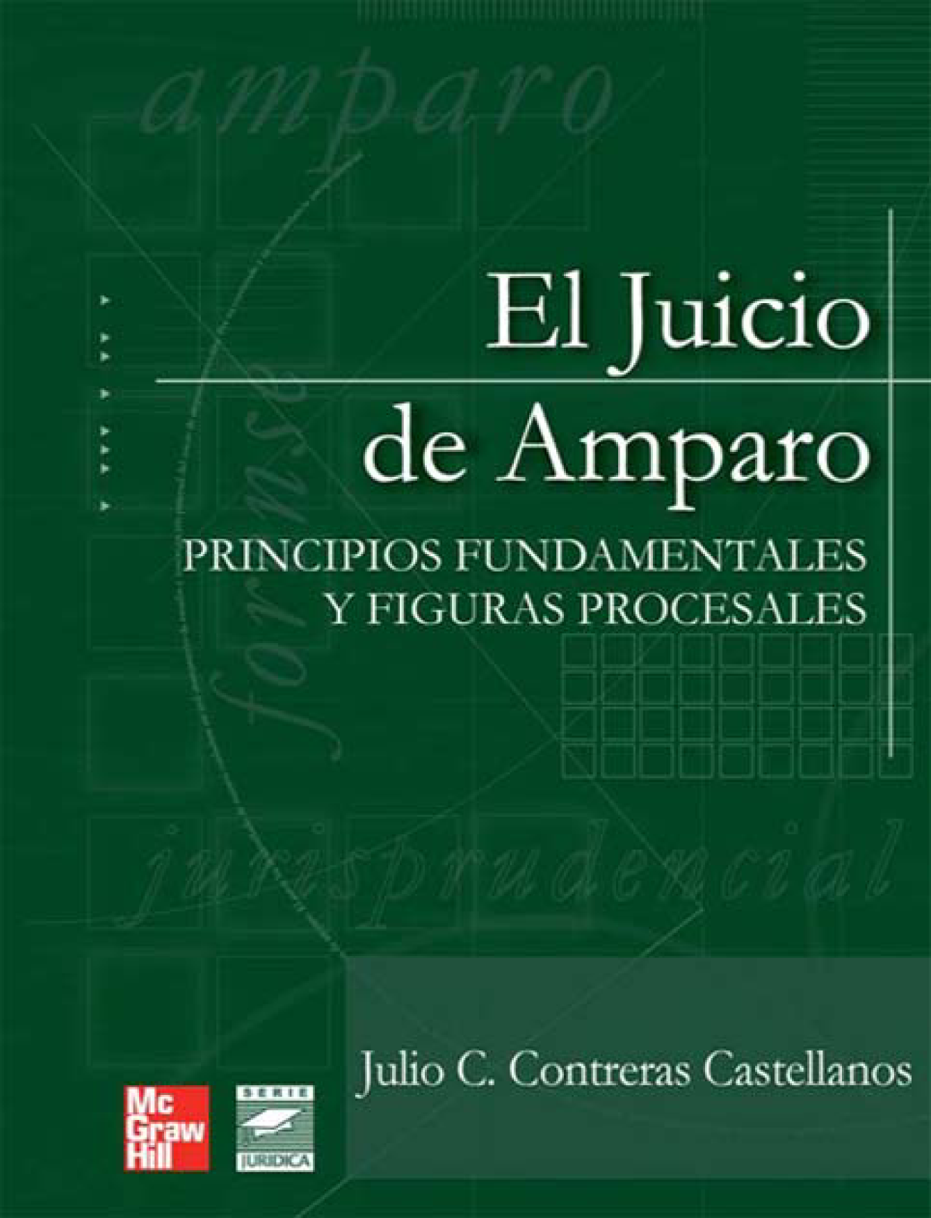 El juicio de amparo: principios fundamentales y figuras procesales