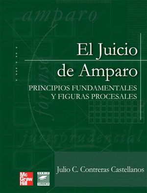 El juicio de amparo: principios fundamentales y figuras procesales