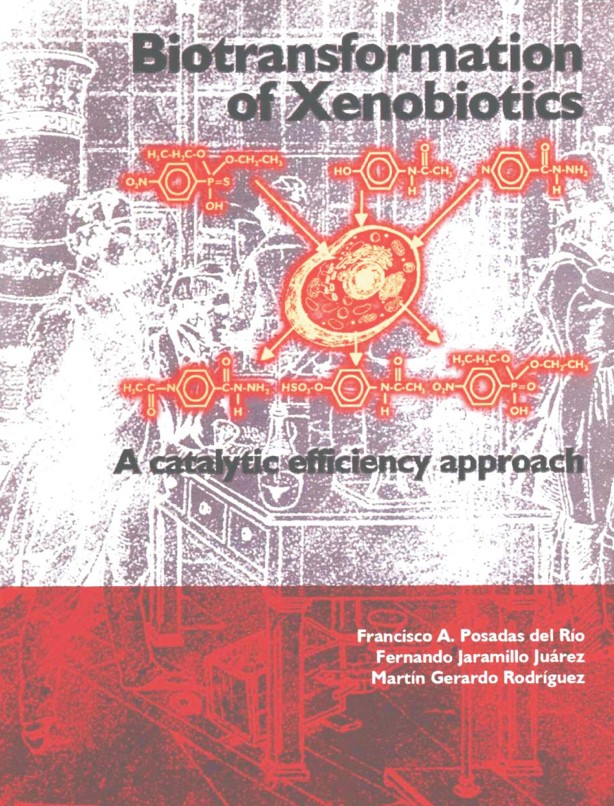 Biotransformation of xenobiotics: a catalytic efficiency approach