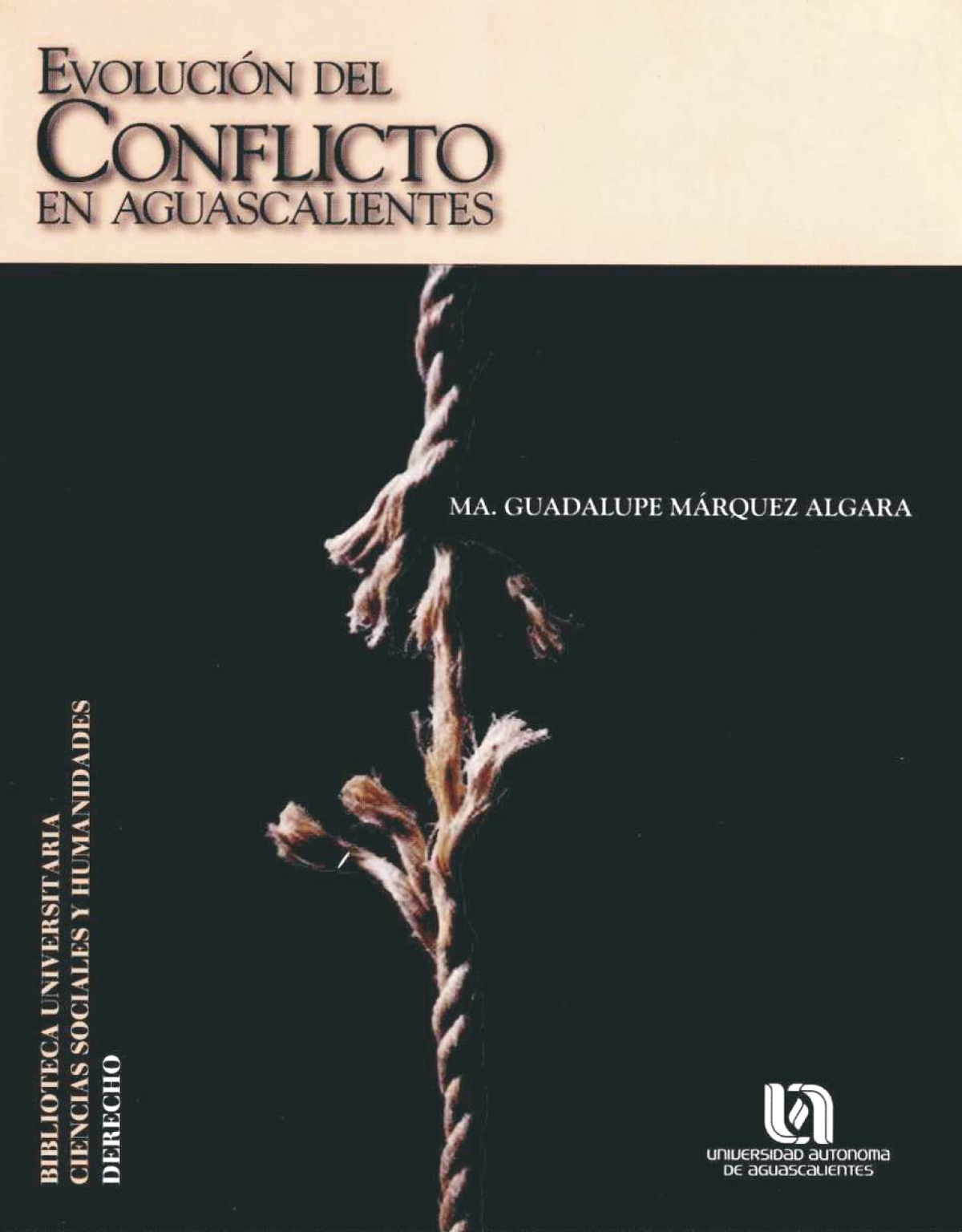 Evolución del conflicto en Aguascalientes