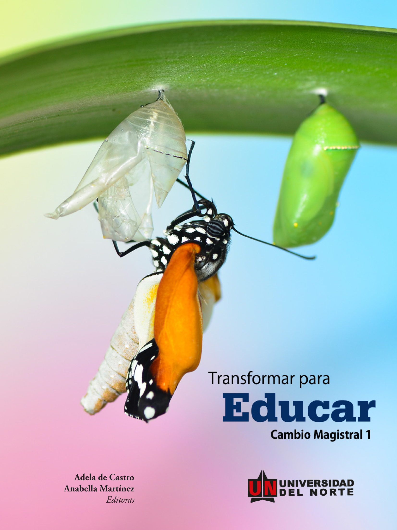 Transformar para educar: cambio magistral 1